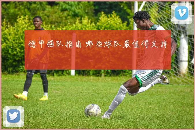 德甲强队指南 哪些球队最值得支持