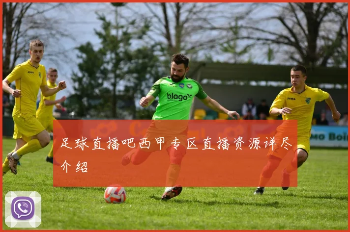 足球直播吧西甲专区直播资源详尽介绍