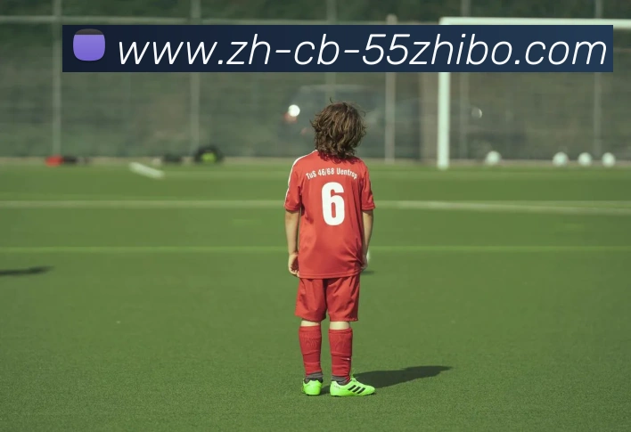 55直播平台生态图